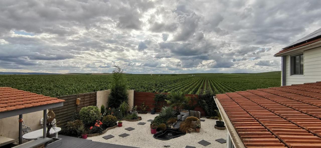 Au Bouchon Champenois Bed & Breakfast Bouzy Luaran gambar